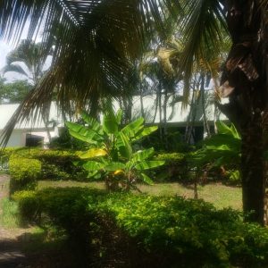 Venta de Finca a 10 minutos de La Mesa , Cundinamarca