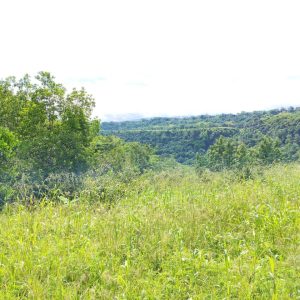 Lote vereda Socotá, Municipio de Apulo